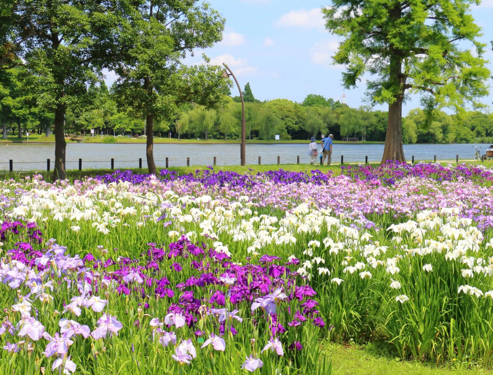 笑顔がつながる、やさしい介護。